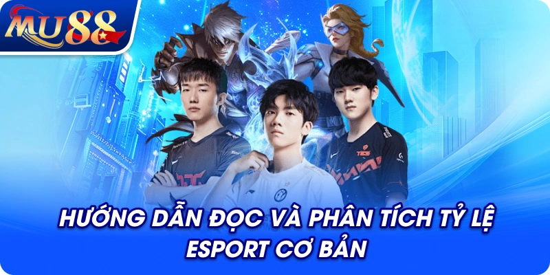 Hướng dẫn đọc và phân tích tỷ lệ Esport cơ bản
