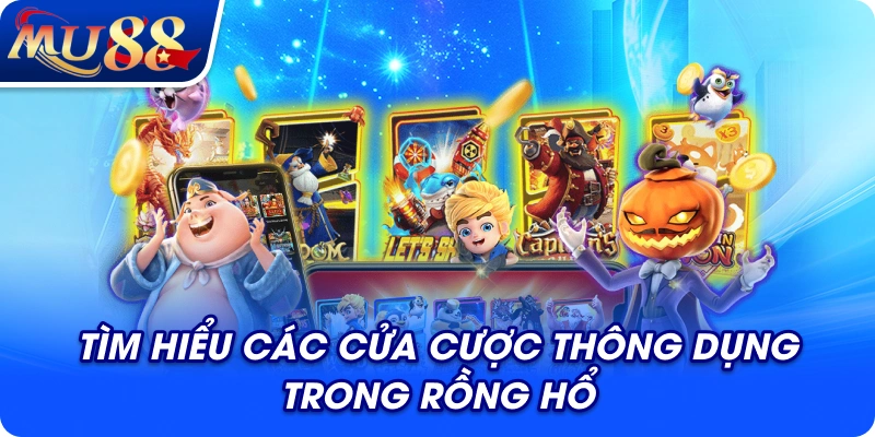 Tìm hiểu các cửa cược thông dụng trong rồng hổ